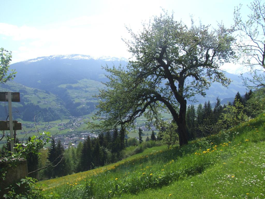 Ferienwohnung Lehenhof Ried im Zillertal Habitación foto